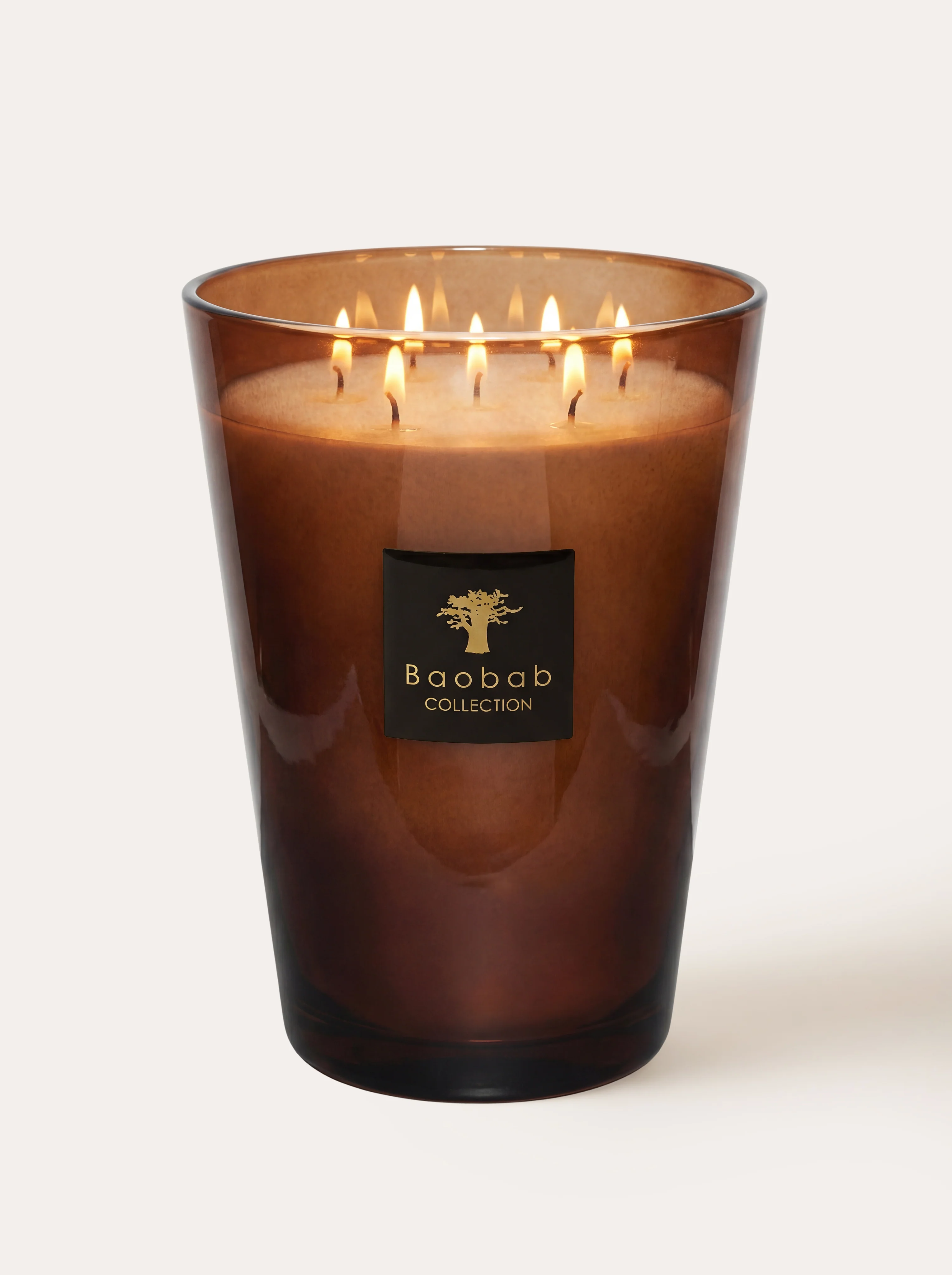 SCENTED CANDLE LES PRESTIGIEUSES CUIR DE RUSSIE - Image 4
